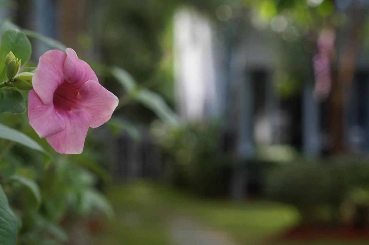 Phu Quoc Hotel Exterior photo